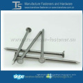 Common Iron Nails with Brand Topcreation in Ningbo China